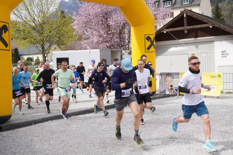 Participants in a marathon race are running through a yellow arch. Runners wear numbers on their shirts and shorts, some wear hats and sunglasses. Trees with pink blossoms are in the background.
