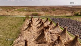 Aerial view of a rural landscape with a person riding a bicycle near wheat straw bales, a road, and a small stream in the distance.
