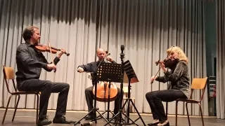Drei Musiker auf der Bühne, zwei Männer und eine Frau, spielen Geige und Cello. Hinter ihnen ein Vorhang und ein Mikrofonstativ.