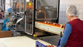 Eine Arbeiterin in einer Fabrik überwacht ein Förderbandsystem mit automatisierten Lebensmittelverpackungsmaschinen.