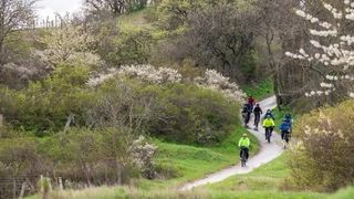 Eine Gruppe von Radfahrern fährt auf einem Weg in einem grünen Park mit Bäumen und Büschen. Ein Radfahrer trägt ein leuchtend gelbes Jackett.