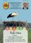Eine Werbung für Gemeindenachrichten, die einen Storch in einem Nest mit Ostereiern und einem Foto eines Mannes zeigt. Der Titel ist 'Frohes Ostern' und der Text wünscht 'Frohe Ostern'.
