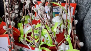 Ein Strauß Weidenzweige mit weißen Blüten, die mit grünen und weißen Bändern gebunden sind. Die Zweige sind in einer roten und weißen Karte mit einem Logo.