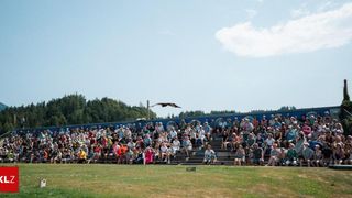 Eine große Menschenmenge sitzt auf den Tribünen und beobachtet einen Vogel, der am Himmel fliegt. Das Publikum ist vielfältig in Kleidung und Accessoires.