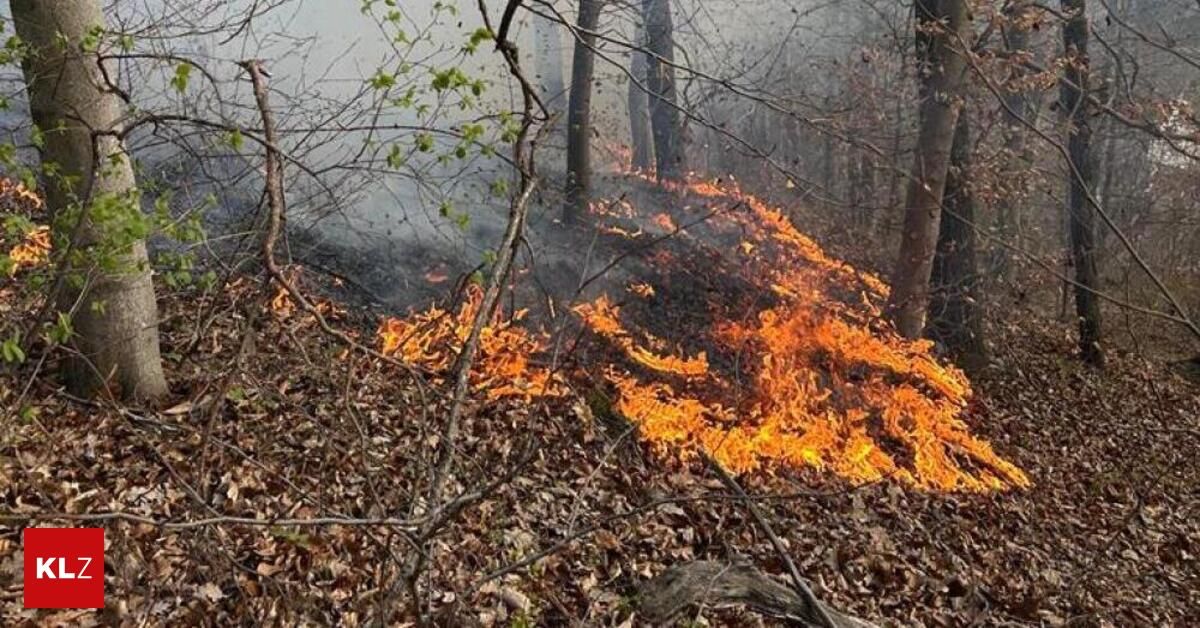 Ein Waldbrand breitet sich durch ein bewaldetes Gebiet aus, wobei Flammen trockene Blätter und Äste verzehren. Der Rauch steigt auf, und die Bäume im Hintergrund erscheinen vernebelt.