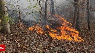 Ein Waldbrand breitet sich durch ein bewaldetes Gebiet aus, wobei Flammen trockene Blätter und Äste verzehren. Der Rauch steigt auf, und die Bäume im Hintergrund erscheinen vernebelt.