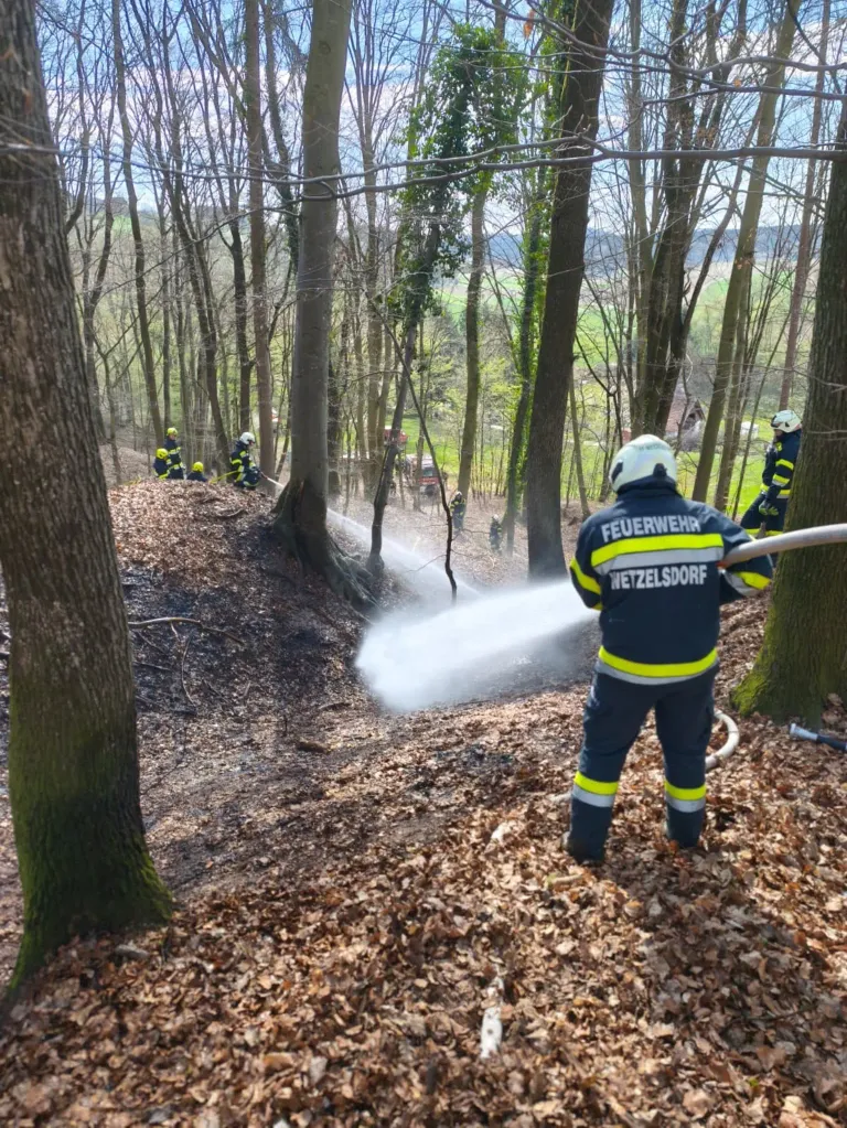 Firefighters in uniforms are in the forest. One firefighter is spraying water from a hose. Other firefighters are working behind him. Trees and bushes surround them.