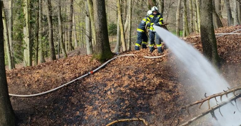 Firefighters use a hose to spray water on a forest fire. They are standing on burnt ground surrounded by trees.