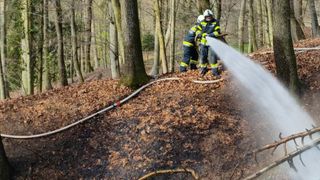 Feuerwehrleute spritzen mit einem Schlauch Wasser auf einen Waldbrand. Sie stehen auf verbranntem Boden, umgeben von Bäumen.