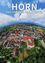 Luftaufnahme der Stadt Horn, Österreich. Viele Gebäude mit roten Dächern. Grüne Felder und Bäume. Website-Adresse horn.gv.at.