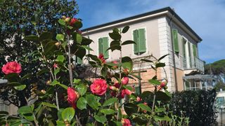 A house with green shutters is in the background, surrounded by a garden with red flowers and green leaves.