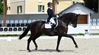 A rider in formal attire is riding a dark brown horse on a sandy field, with a building in the background.