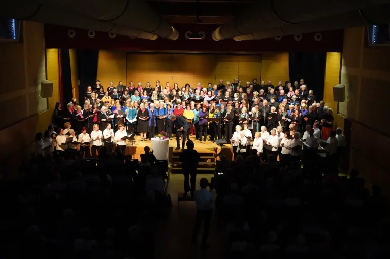 A choir performs on stage with a backdrop of a large audience. The choir members are dressed in matching attire, holding music sheets. A podium with flowers is in the center.