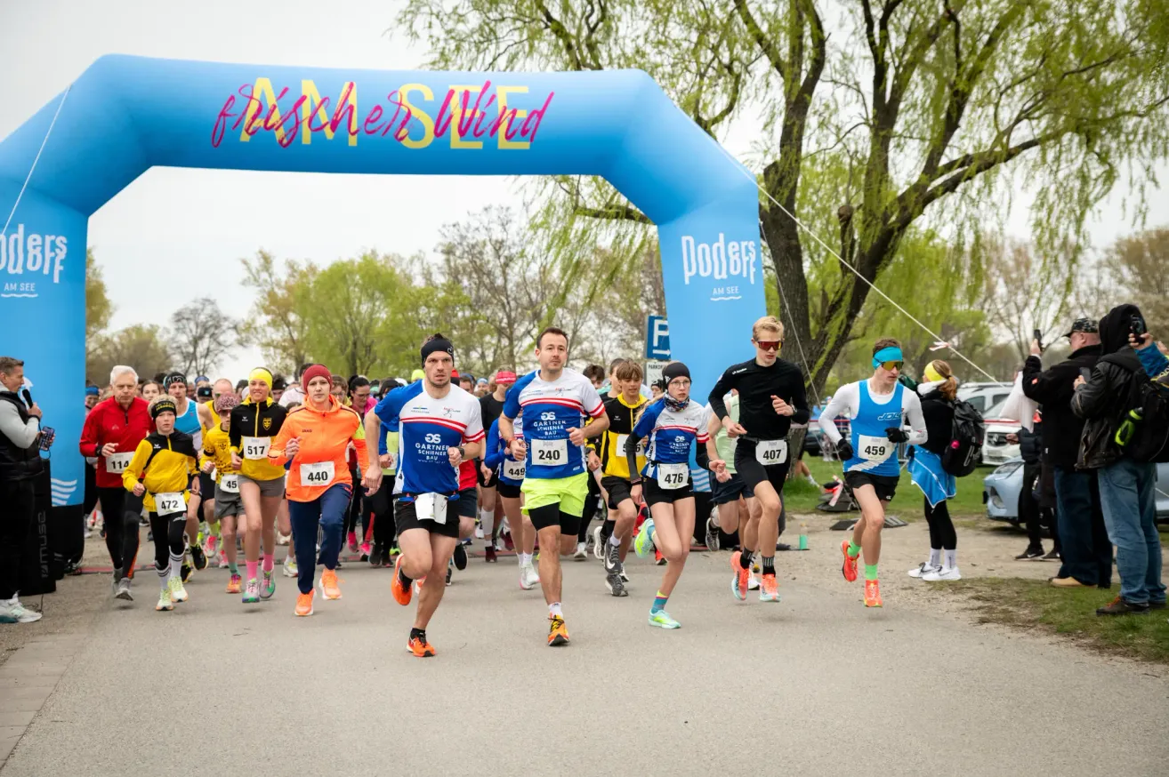 A group of runners in a marathon. The banner reads 'Fischerswind'. Runners wear numbered bibs. They run on a paved road with trees on the sides.