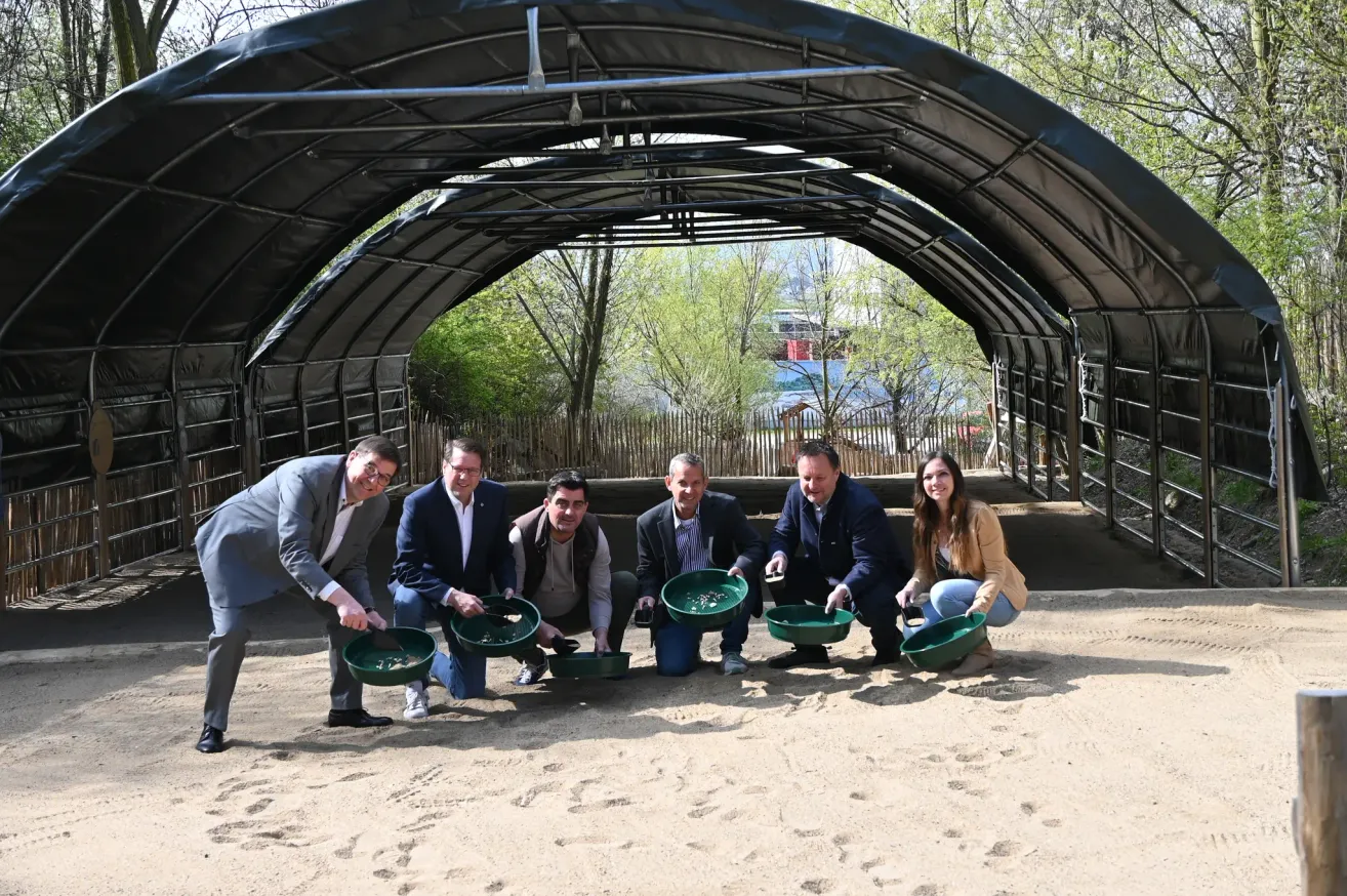 Six people in formal wear are kneeling on the sand, holding green bowls, in front of a covered arch. Behind them are trees and a fence.