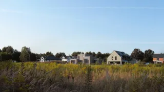 A large field of tall grass with several houses in the distance under a clear blue sky. The houses have modern designs and are surrounded by trees.