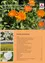 Ein Poster mit einem Feld orangefarbener Ringelblumen. Unten unter den Blumen ein Inhaltsverzeichnis mit Themen wie 'Amtsleiter', 'Reisepass' und 'Kindergarten'. Fotos von Blumen sind links.