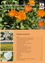 Ein Poster mit einem Feld orangefarbener Ringelblumen. Unten unter den Blumen ein Inhaltsverzeichnis mit Themen wie 'Amtsleiter', 'Reisepass' und 'Kindergarten'. Fotos von Blumen sind links.