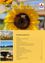 Eine gelbe Sonnenblume mit einer Biene darauf. Unten befindet sich ein Inhaltsverzeichnis mit verschiedenen Themen, darunter 'Leitartikel,' 'Geburhrenbremse' und 'Volksschuler besuchen Burgermeister.' Fotos von Feldern und Blumen sind unten abgebildet.