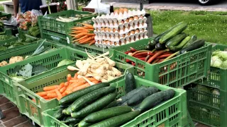 Verschiedene frische Gemüse in grünen Kisten: Gurken, Karotten und Radieschen. Eier in Schalen dahinter. Ein grüner Grasbereich im Hintergrund.