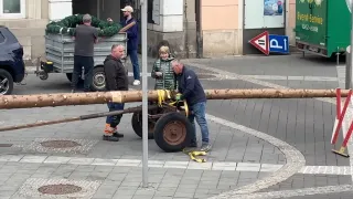 Eine Gruppe von Menschen bereitet sich darauf vor, große Baumstämme auf einen Anhänger zu laden. Ein Mann in blauen Handschuhen sichert sie mit gelben Riemen.
