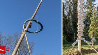 Eine Holzkonstruktion mit einem blauen Schlauch befestigt. Es hat einen Metallring am Ende des Schlauchs. Im Hintergrund befindet sich ein Baum.