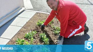 Ein Mann in roter Uniform pflanzt Kräuter in einem Gartenbeet, neben einem Bürgersteig und einer Straße.
