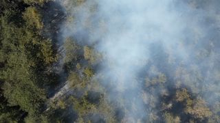 Luftaufnahme eines Waldes mit Rauch, der sich vom Boden erhebt, möglicherweise aufgrund eines Waldbrandes.