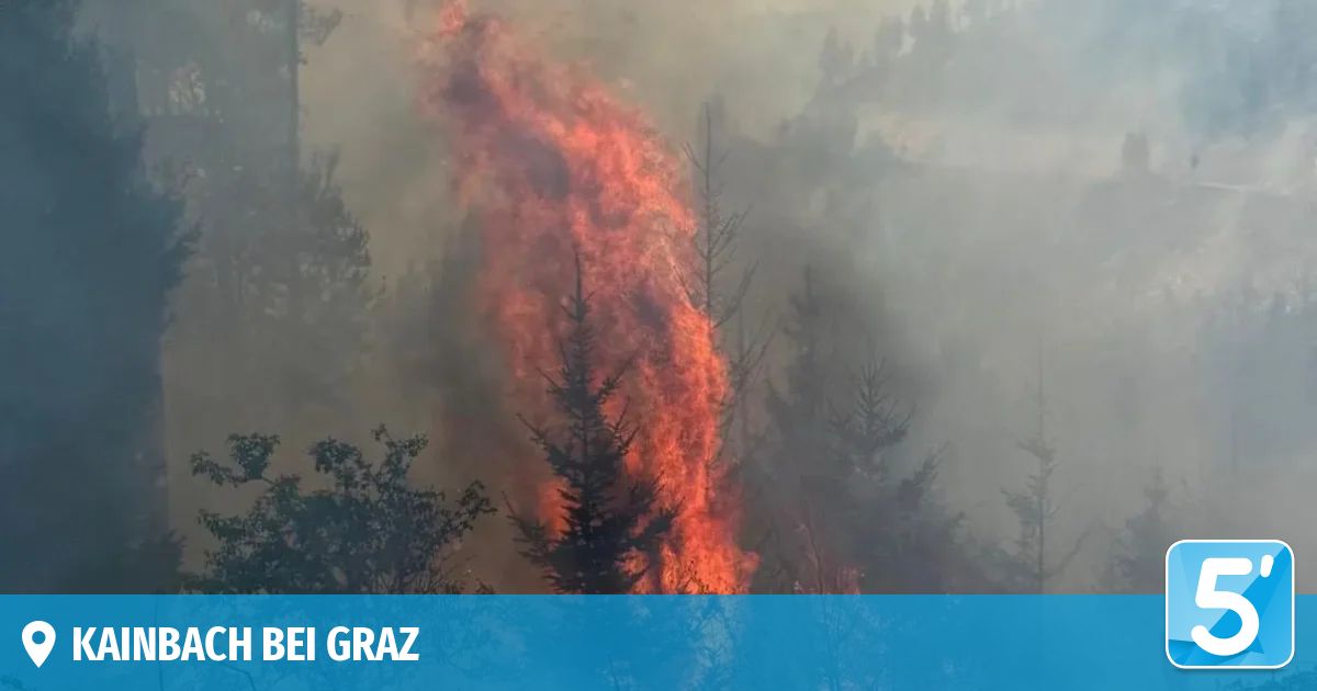 Ein großes Feuer brennt in einem Wald in der Nähe von Graz. Bäume brennen und Rauch steigt auf. Der Wald ist von anderen Bäumen umgeben.