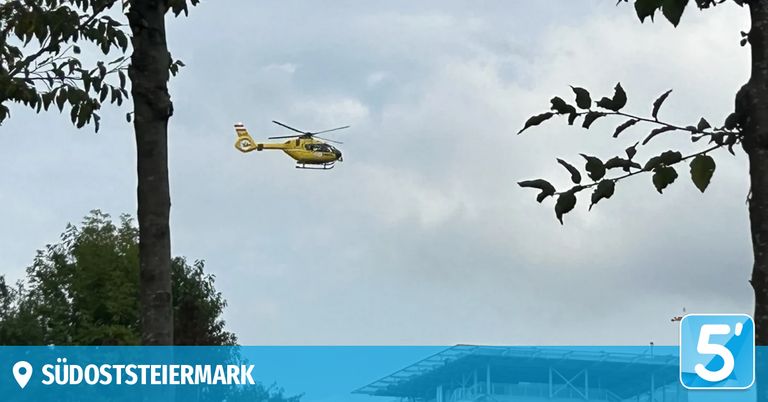 Ein gelber Hubschrauber fliegt über einem Baum und einem blauen Gebäude mit dem Wort 'TIERMARK' darunter.