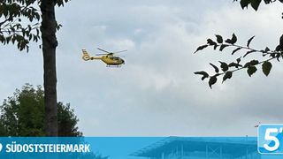 Ein gelber Hubschrauber fliegt über einem Baum und einem blauen Gebäude mit dem Wort 'TIERMARK' darunter.