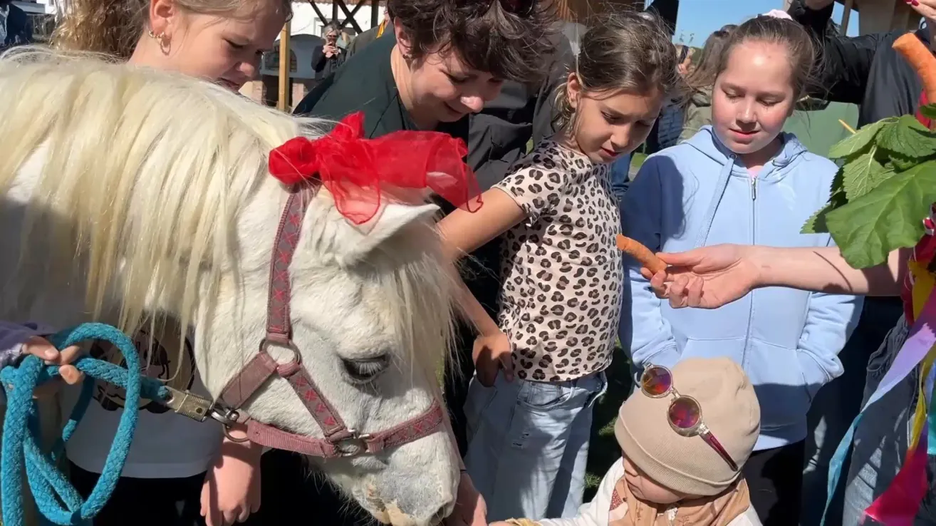 Mehrere Kinder stehen um ein weißes Pferd mit einer roten Schleife am Kopf, eines füttert es mit einer Karotte.