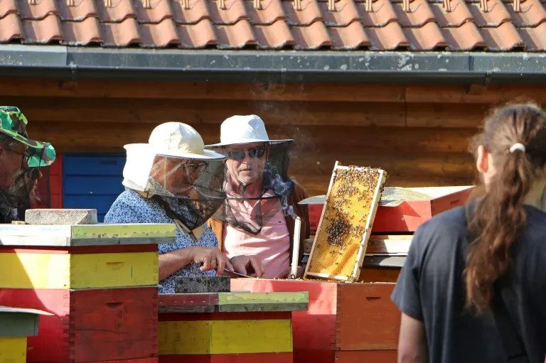 Zwei Imker in Schutzkleidung arbeiten an einem Bienenstock mit einem Raucher. In der Nähe beobachtet eine Person. Die Umgebung besteht aus Holzbienenstöcken und einem Holzgebäude.