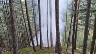A forest with tall trees shows a small fire, producing smoke among the greenery.