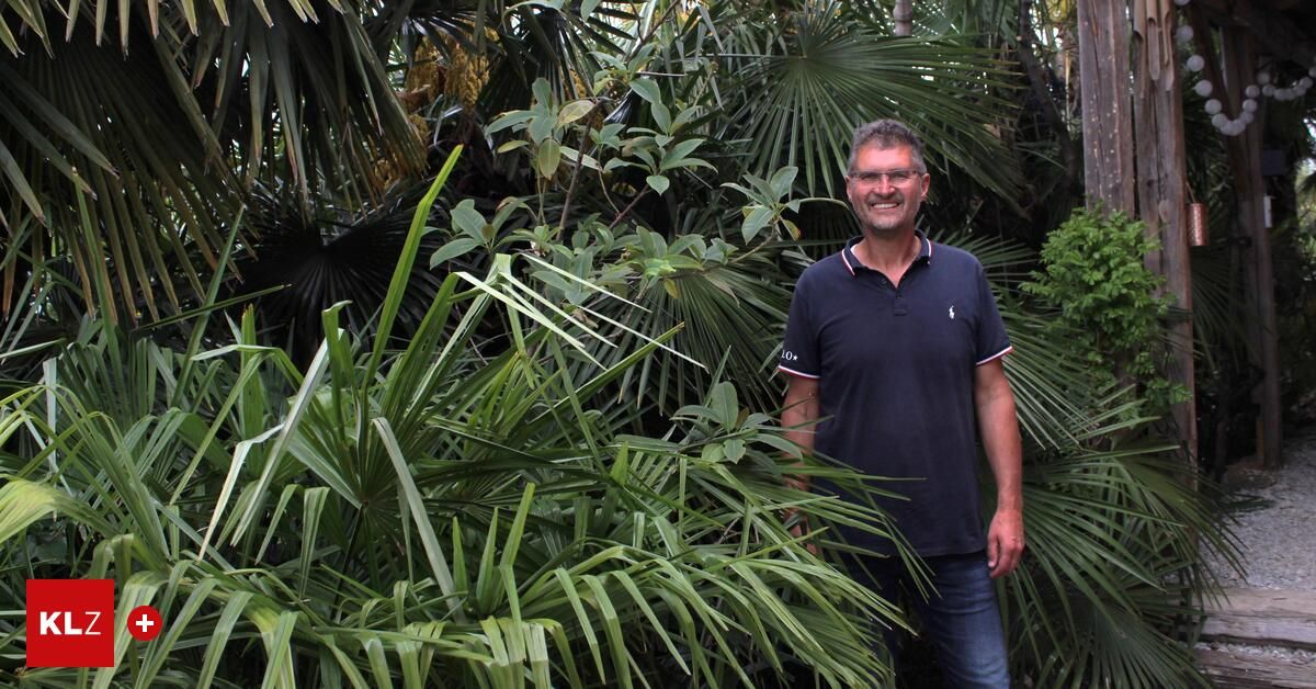 A man stands in a lush tropical garden, wearing a dark blue polo shirt and jeans. He smiles and poses for a photo.