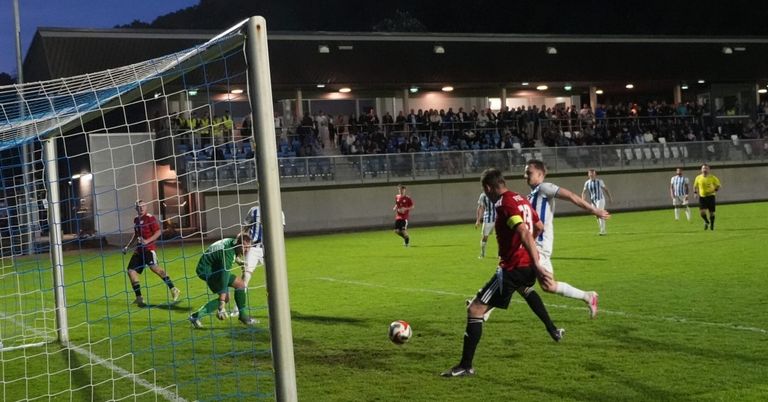 Fußballspieler auf einem Feld, ein Spieler tritt einen Ball. Zuschauer sehen von den Tribünen zu. Ein Torwart steht gekrümmt vor dem Tor.
