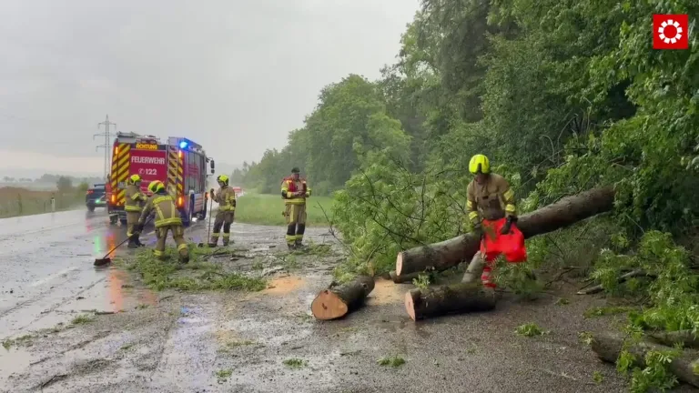 Feuerwehrleute räumen einen umgestürzten Baum von der Straße. Ein Feuerwehrwagen ist in der Nähe geparkt.