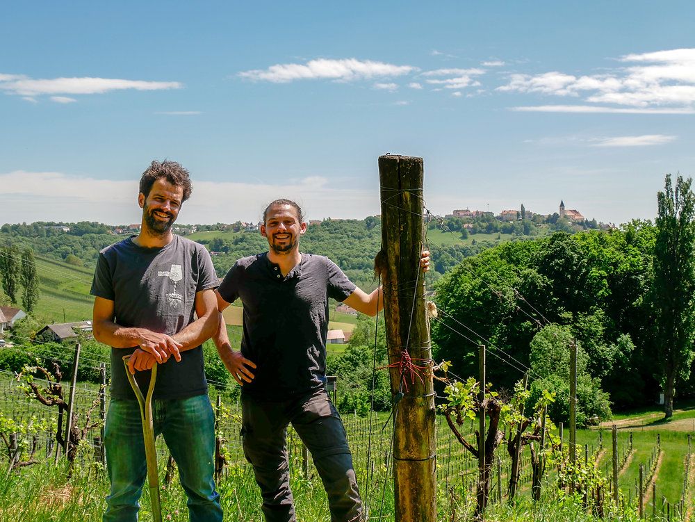 Zwei Männer lächeln und posieren für ein Foto in einem Weinberg, einer hält eine Schaufel. Ein Pfahl mit einem roten Seil ist in der Nähe. Bäume und eine Stadt sind im Hintergrund.