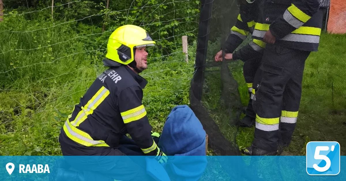 A firefighter in a yellow helmet kneels next to a blue bag on the grass. Behind him, another firefighter stands and looks at the fence. The area is surrounded by green trees.