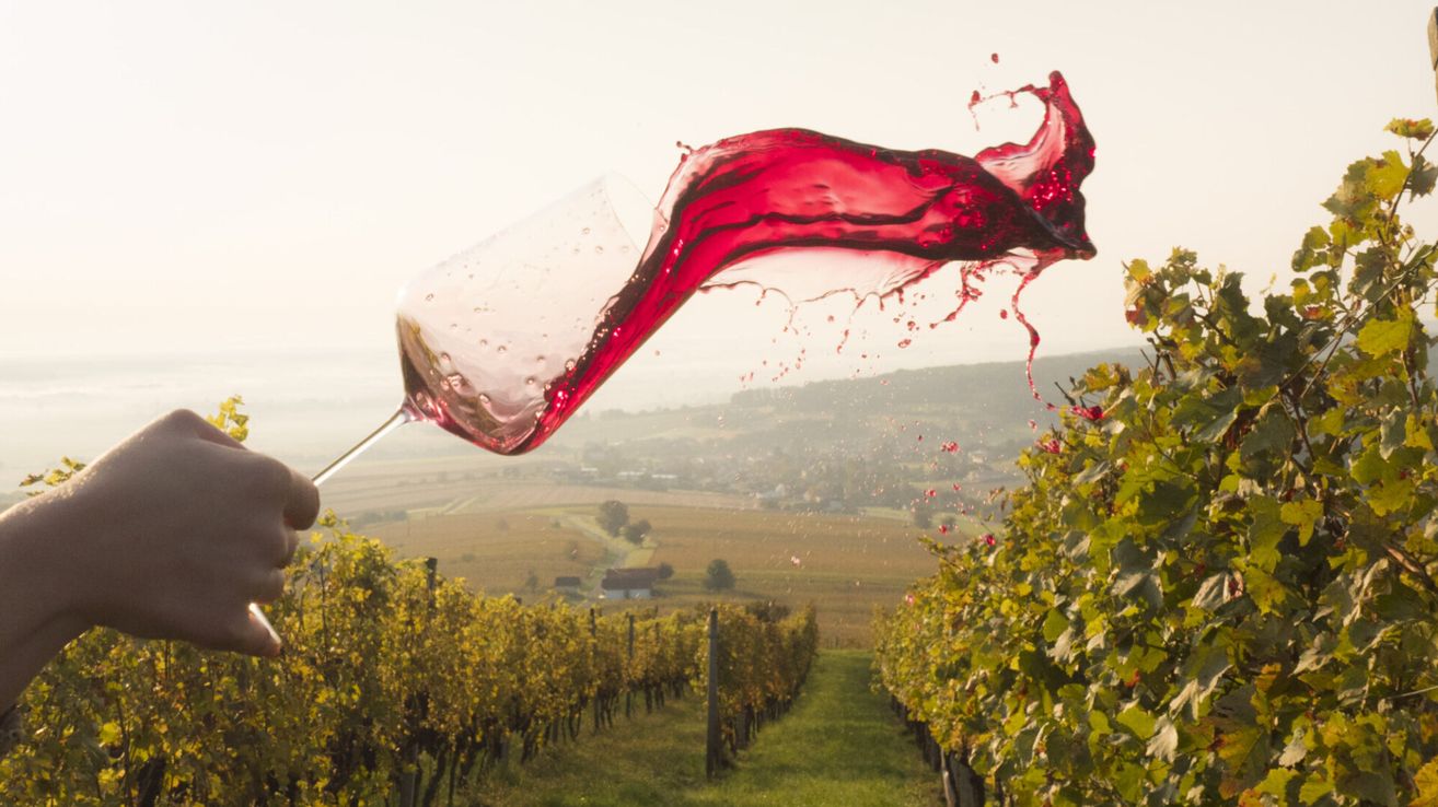 A wine glass is tossed in the air with red wine splashing out in a vineyard with green grass and trees.