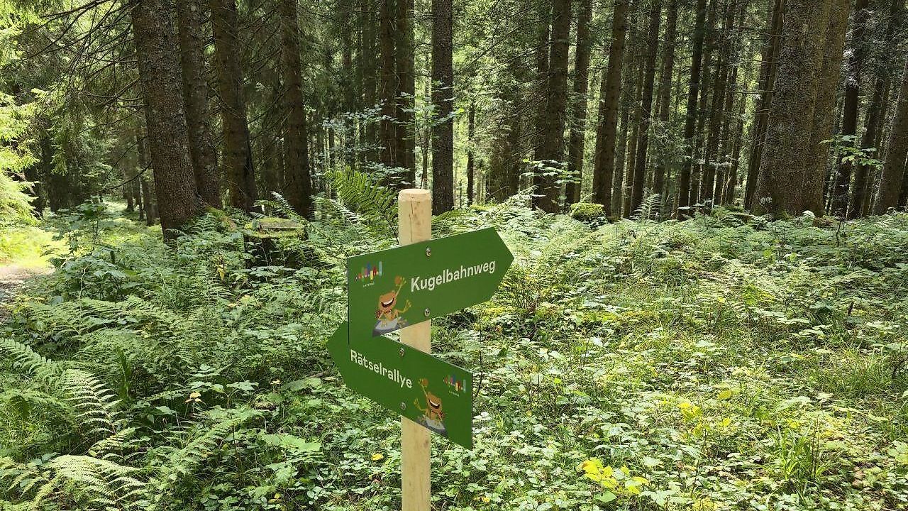 A wooden signpost in a forest shows directions to Kugelbahnweg and Ratselralley. Green signs with cartoon images are attached to the post.