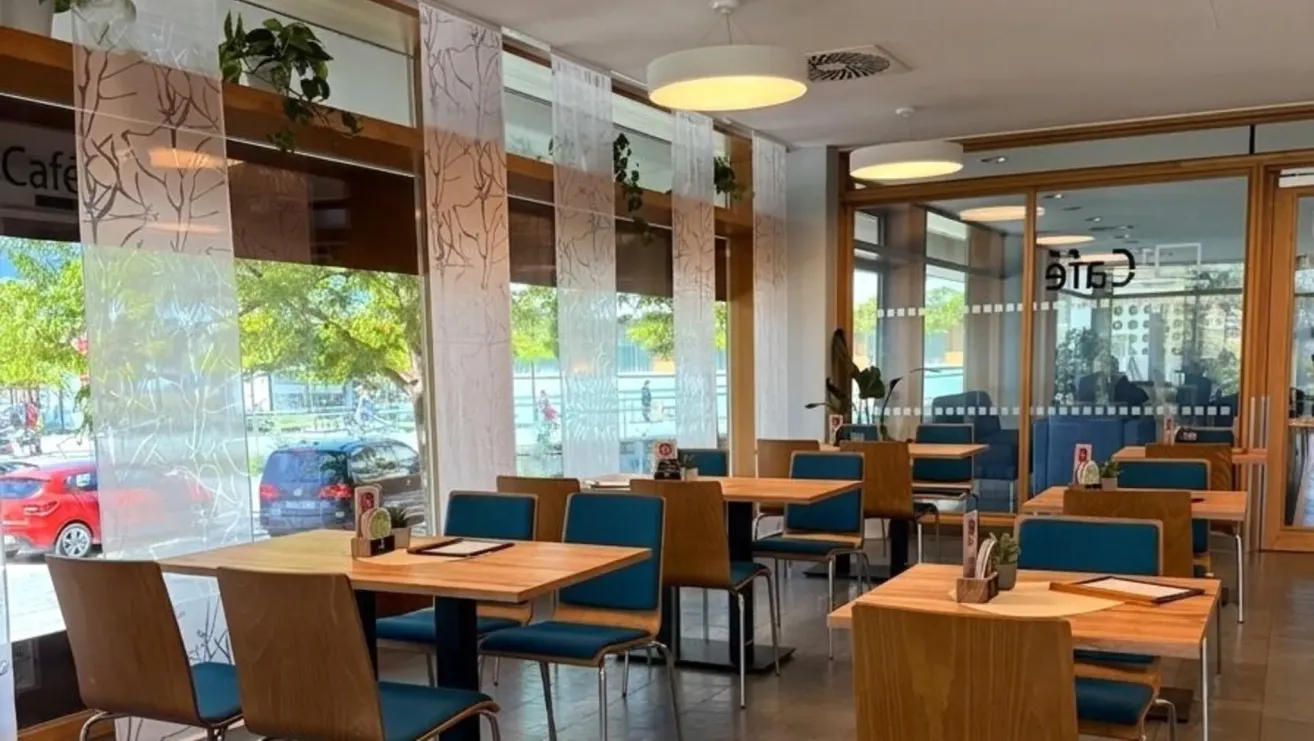 An indoor restaurant with large windows, blue chairs, and wooden tables. Plant decorations are on the windows and tables, and lamps hang from the ceiling. Outside, cars are parked and people walk.
