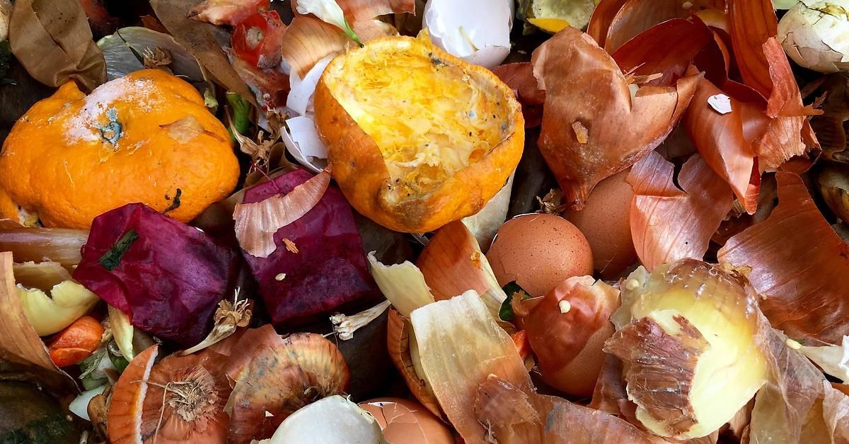 Nahaufnahme verschiedener organischer Abfälle, darunter Kürbis, Zwiebeln, Eier und Rote Bete. Verrottung und Zersetzung.