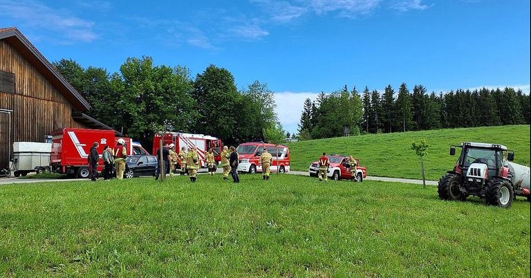 Feuerwehrleute versammeln sich um einen roten Feuerwehrwagen und ein Auto auf einer Wiese unter einem blauen Himmel. Im Hintergrund sind Bäume und eine Straße zu sehen.