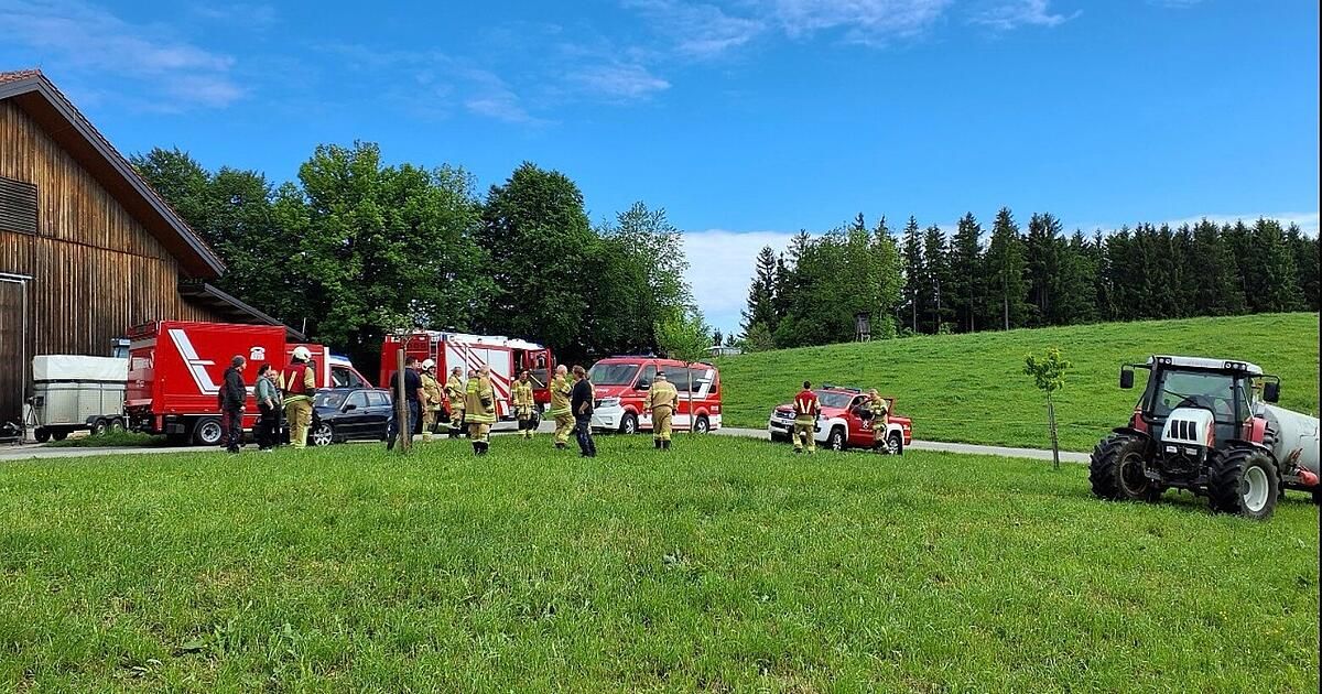 Feuerwehrleute versammeln sich um einen roten Feuerwehrwagen und ein Auto auf einer Wiese unter einem blauen Himmel. Im Hintergrund sind Bäume und eine Straße zu sehen.
