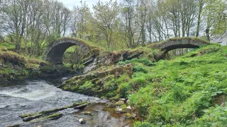 Eine Bogenbrücke aus Stein über einen kleinen Bach mit üppigem Grün und Bäumen im Hintergrund.