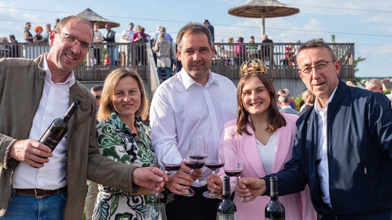 A group of people toasting wine glasses outdoors, with a man in a white shirt and a woman in a pink blazer smiling. Behind them, a wooden bridge is visible with people standing on it.