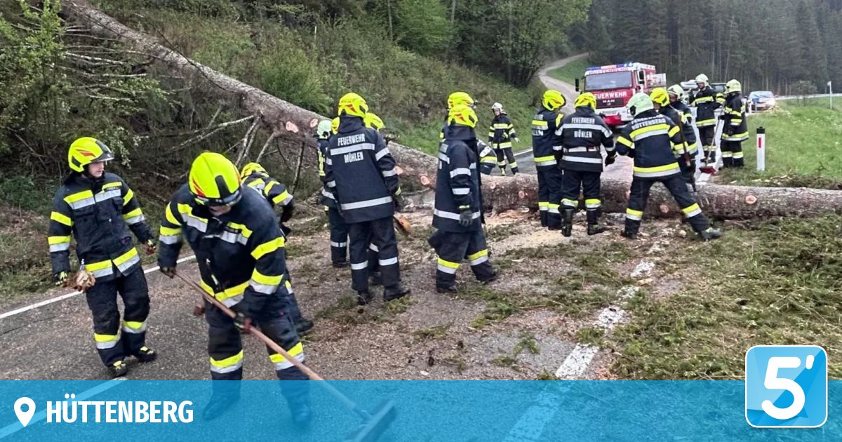 Feuerwehrleute in gelben Helmen räumen einen umgestürzten Baum von der Straße. Einige halten Werkzeuge. Ein Feuerwehrwagen ist auf der Straße geparkt.