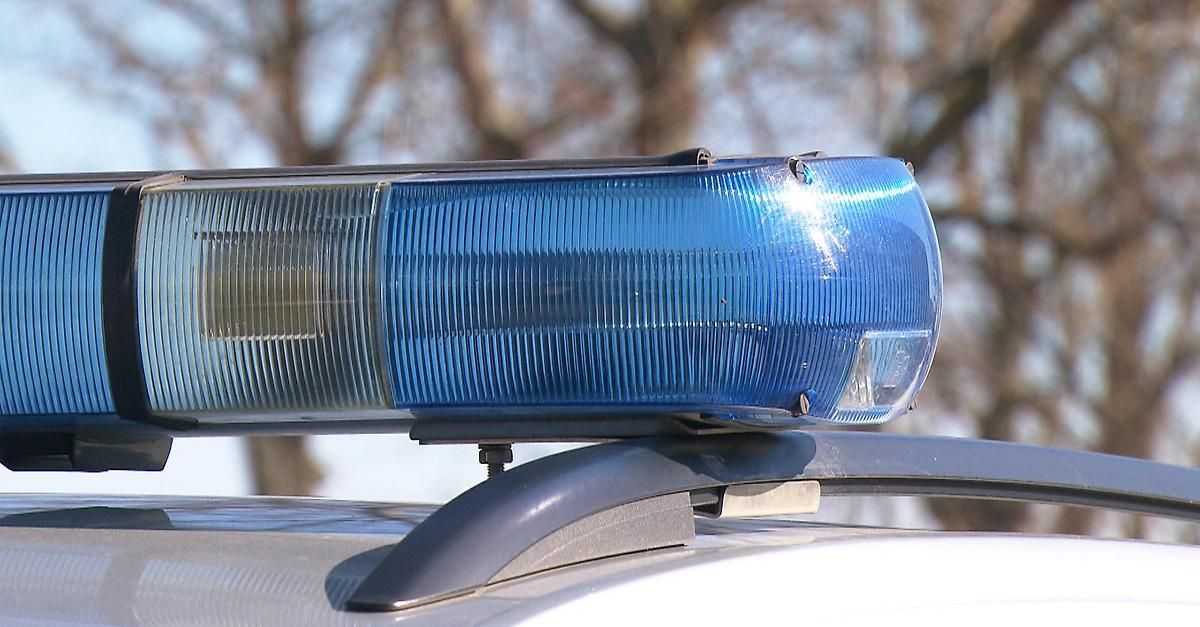 Nahaufnahme eines blauen Polizeiwagen-Lichtbalkens auf einem Fahrzeug, mit Bäumen im Hintergrund.