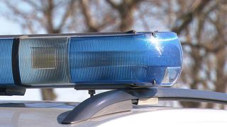 Nahaufnahme eines blauen Polizeiwagen-Lichtbalkens auf einem Fahrzeug, mit Bäumen im Hintergrund.